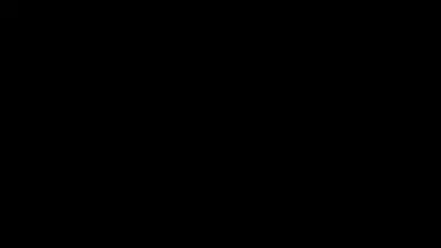 The Ultimate Gaming Solutions at BearCheats.net